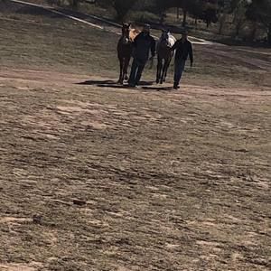 Meet your Posher, Jose